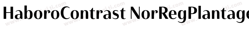 HaboroContrast NorRegPlantagenetChe字体转换